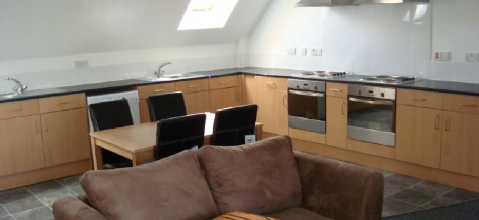 Shared kitchen, brown sofa, 2 hobs, 2 extractor fans, window, cupboards and sink