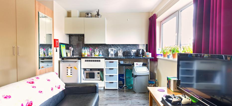 Studio, black sofa, TV on wooden coffee table, purple curtains, large window, kettle, toaster, sink, large wardrobe on the side, mirror on warderobekitchen, oven, hob, cupboards, 