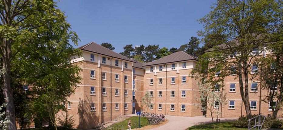 Three large four floor accommodation buildings with trees on either side and bright blue skies. Paved paths leading to the buildings with grassy areas between.