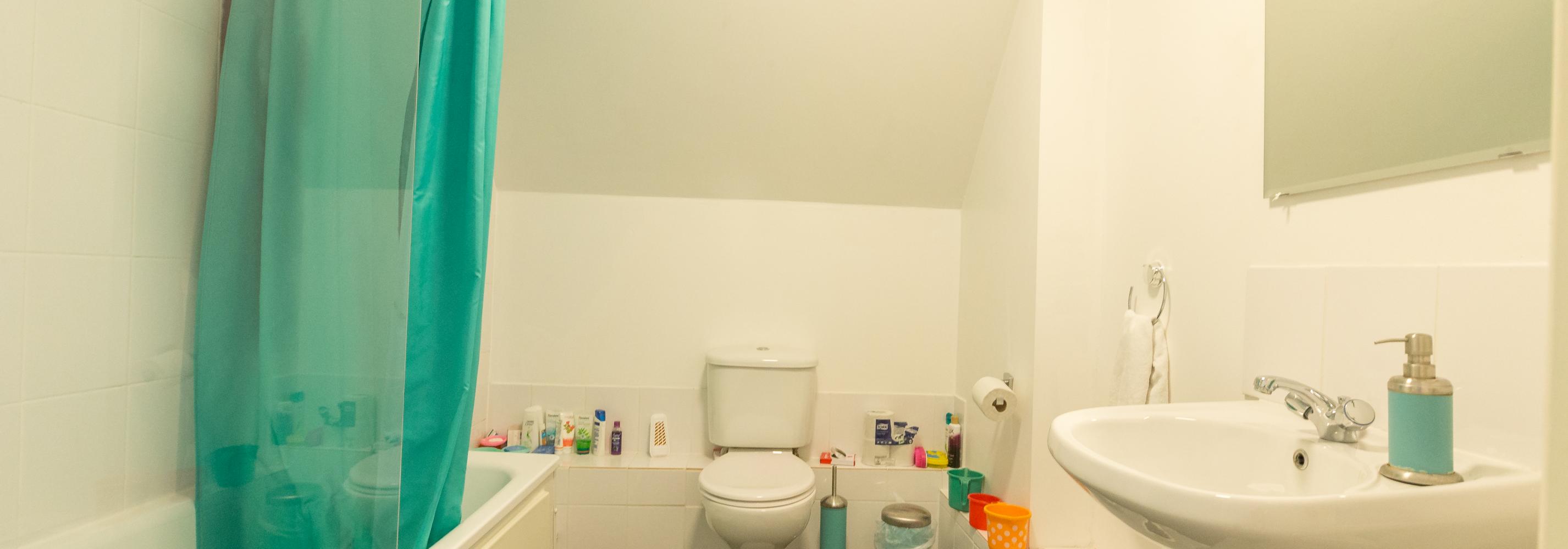 Bathroom, bath, shower curtain, toilet, sink and mirror