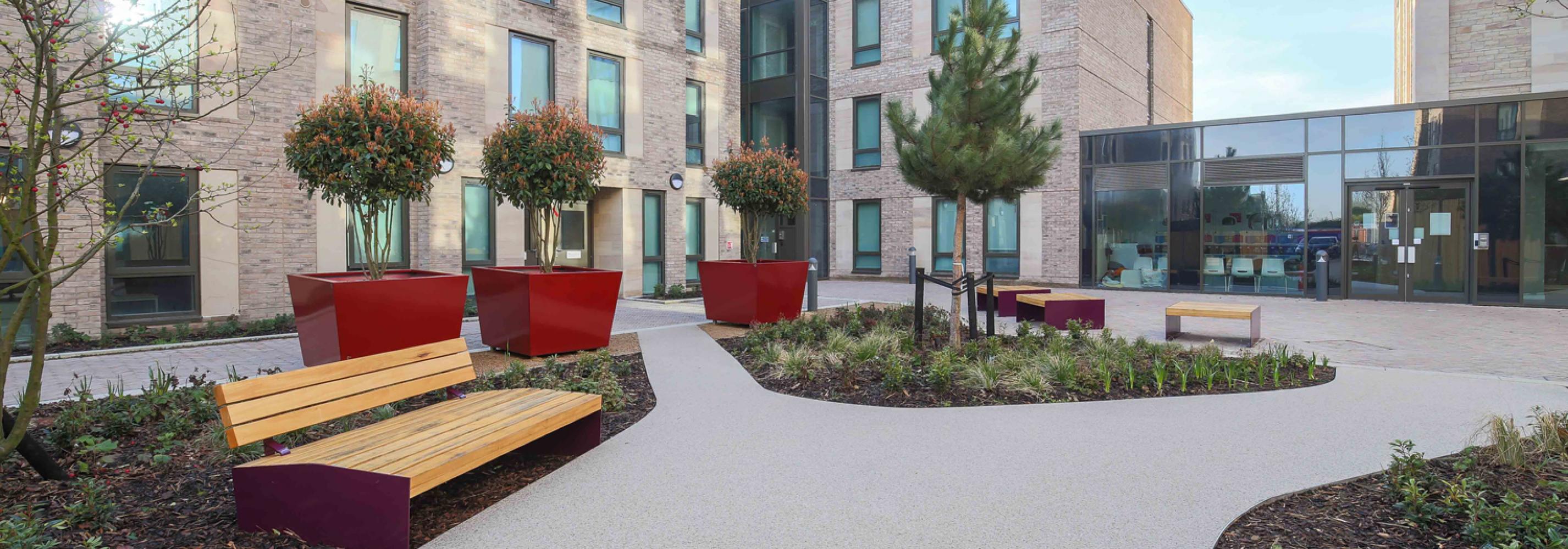 Outdoor area, exterior image of building, benches, trees planted in big red pots, glass doors