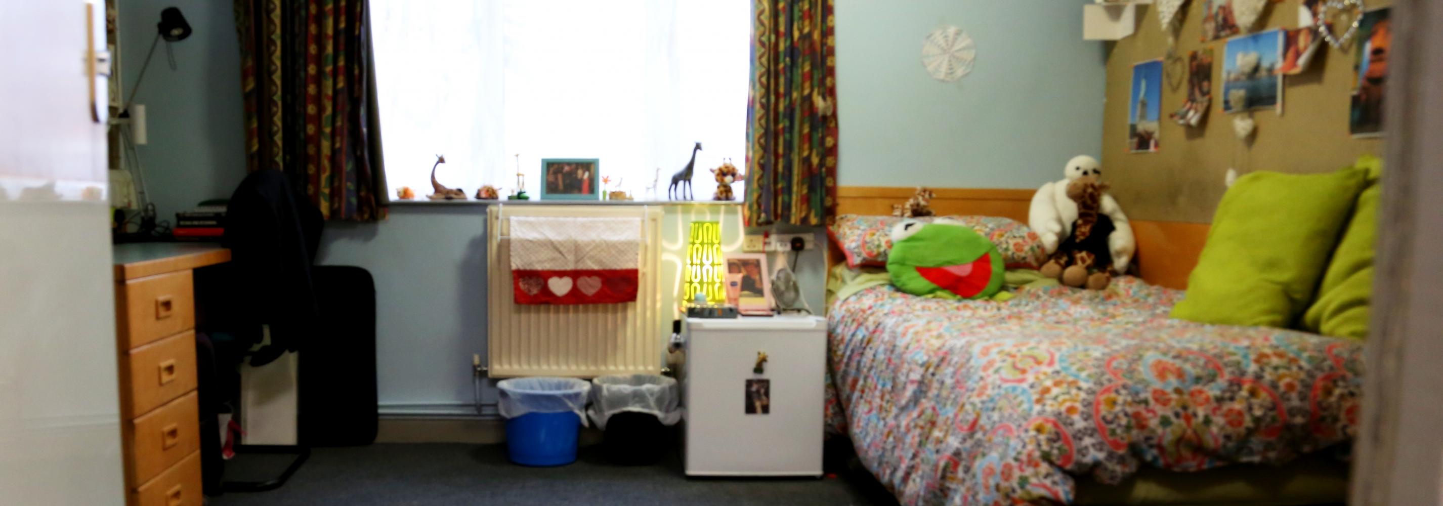 Adapted bedroom, bed, noticeboard, window, curtains, radiator, desk and chair