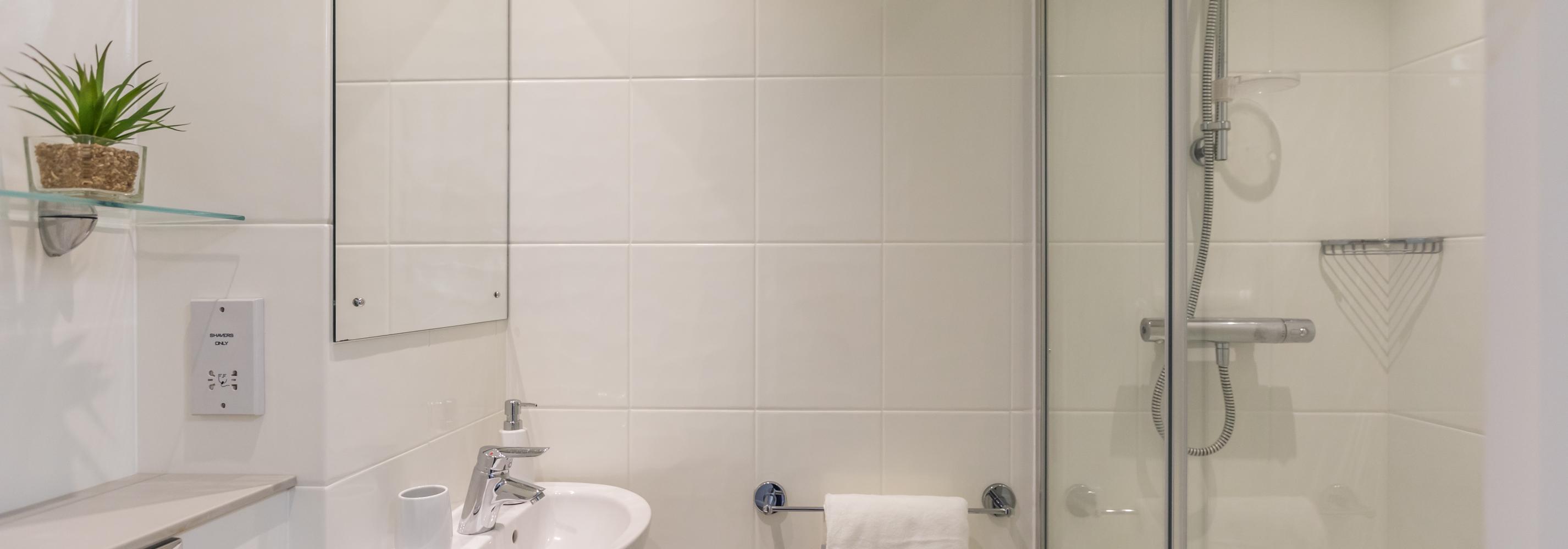 Bathroom, mirror, shelves, towel rail, toilet, sink, toilet roll holder and shower