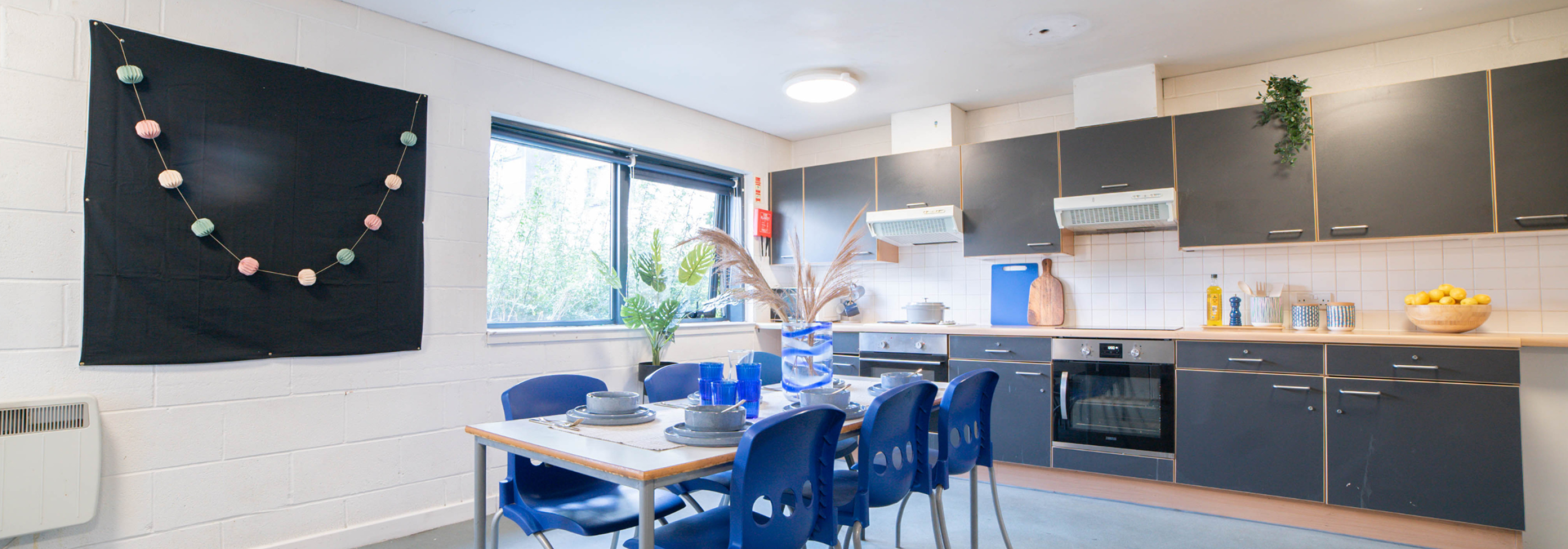 Shared kitchen and living space.