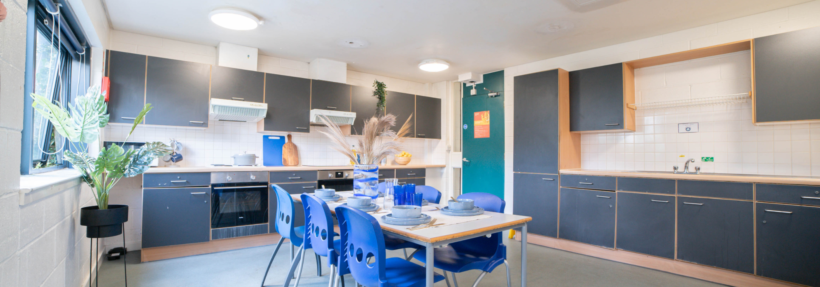 Shared kitchen and living space.